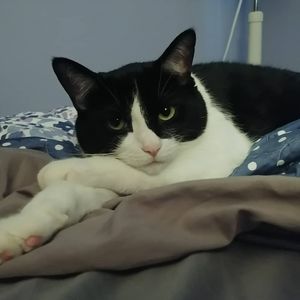 Meet your Posher, Janet